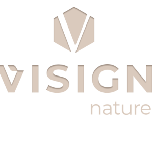 Visign